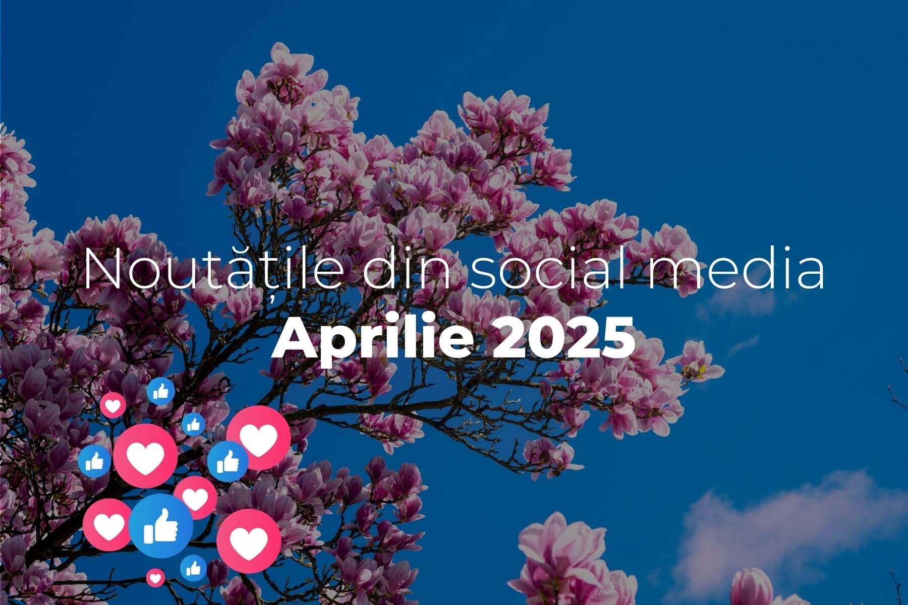 Noutati social media luna aprilie 2025